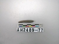 藏品(磨製石針)的圖片